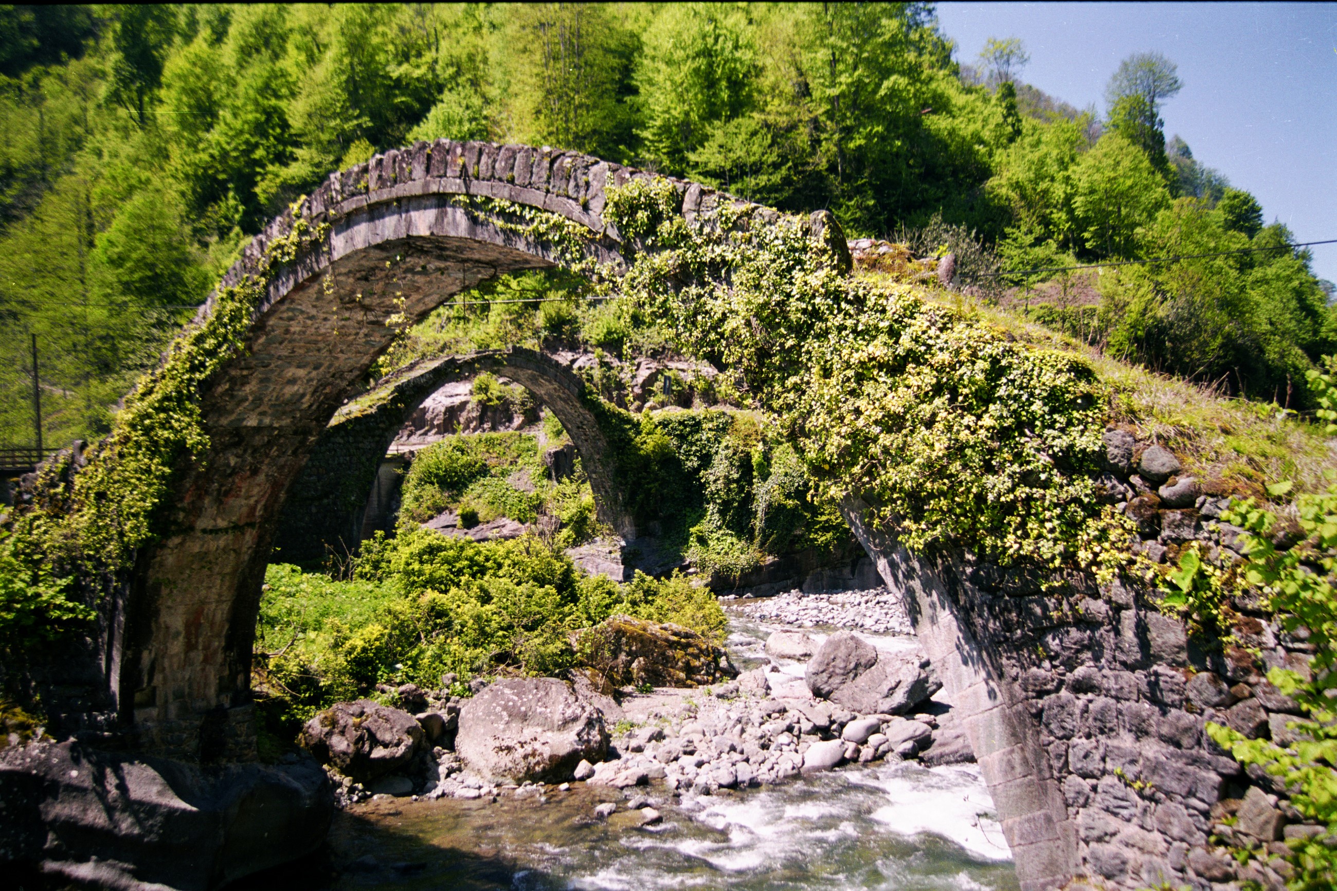 Artvin İlçeleri