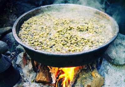 Dut Pekmezi
