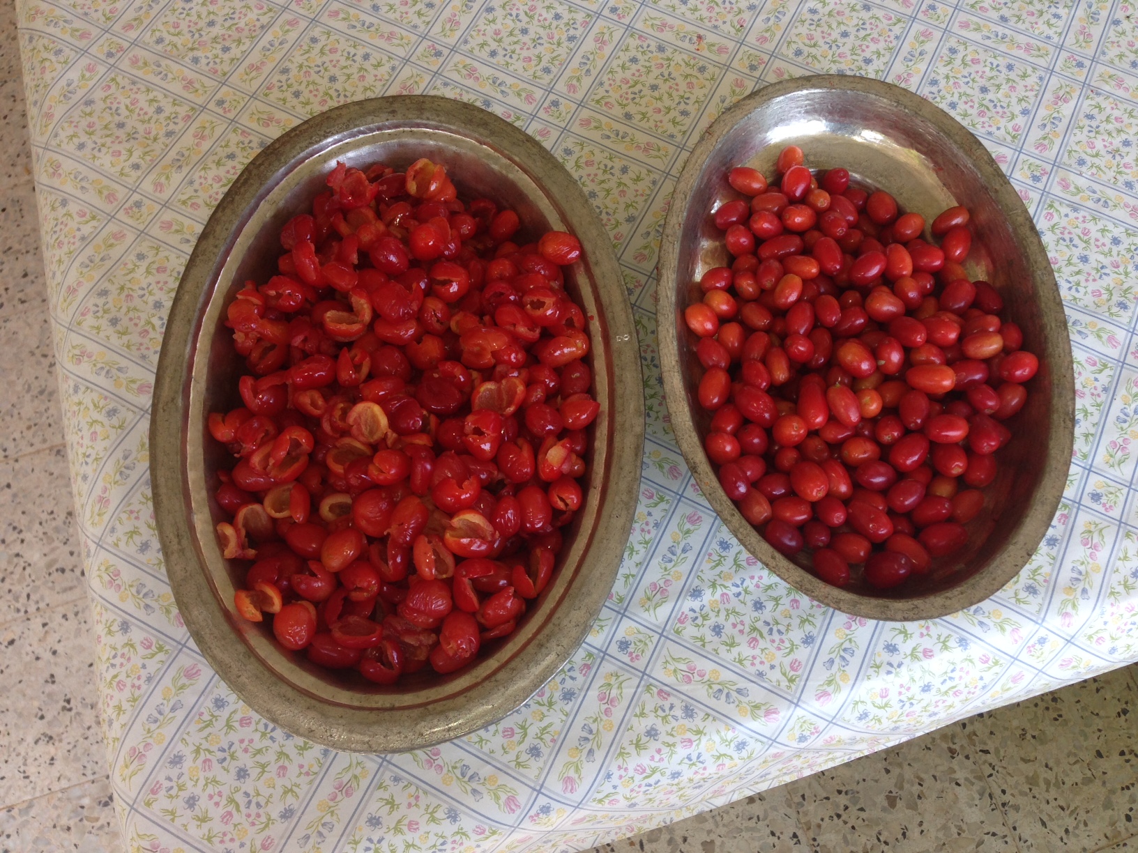 Kızılcık Marmelatı