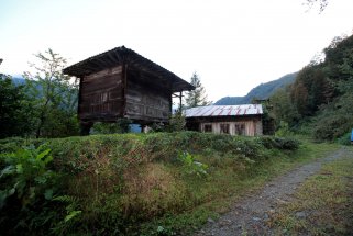 Arılı Köyü