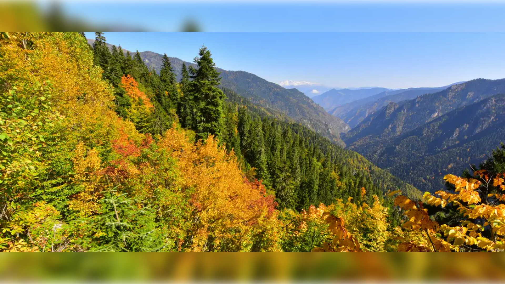 Hatila Vadisi Milli Parkı, Artvin