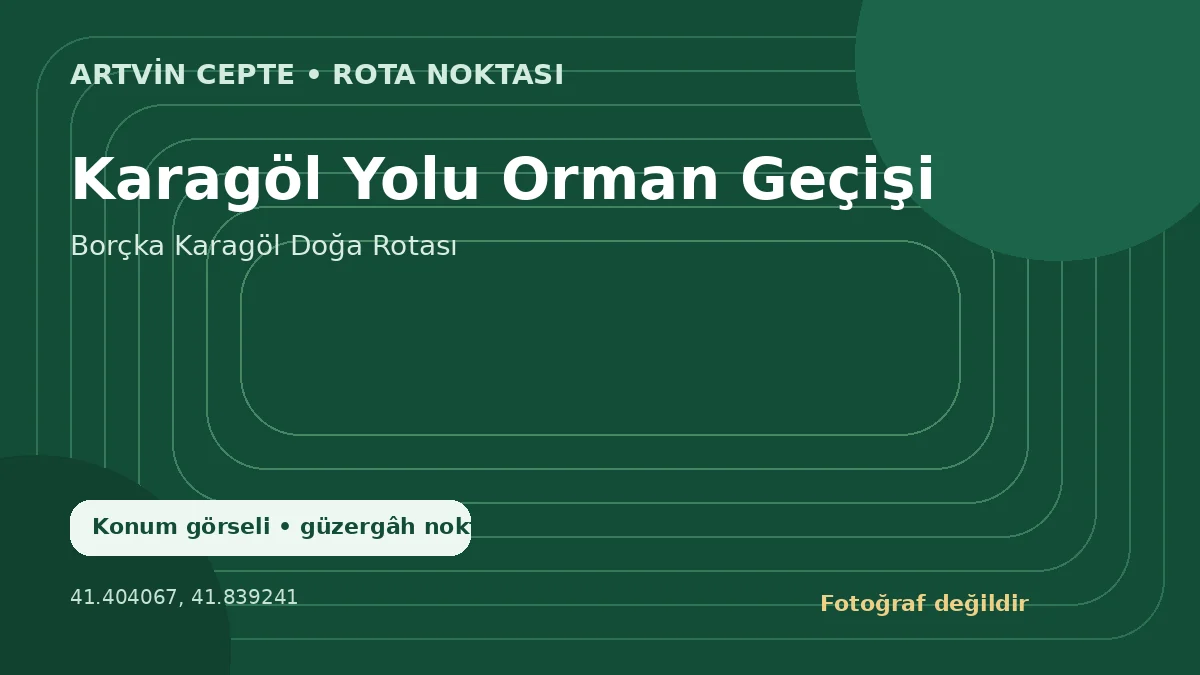 Karagöl Yolu Orman Geçişi – Artvin CEPTE konum görseli