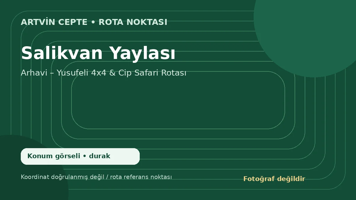 Salikvan Yaylası – Artvin CEPTE konum görseli
