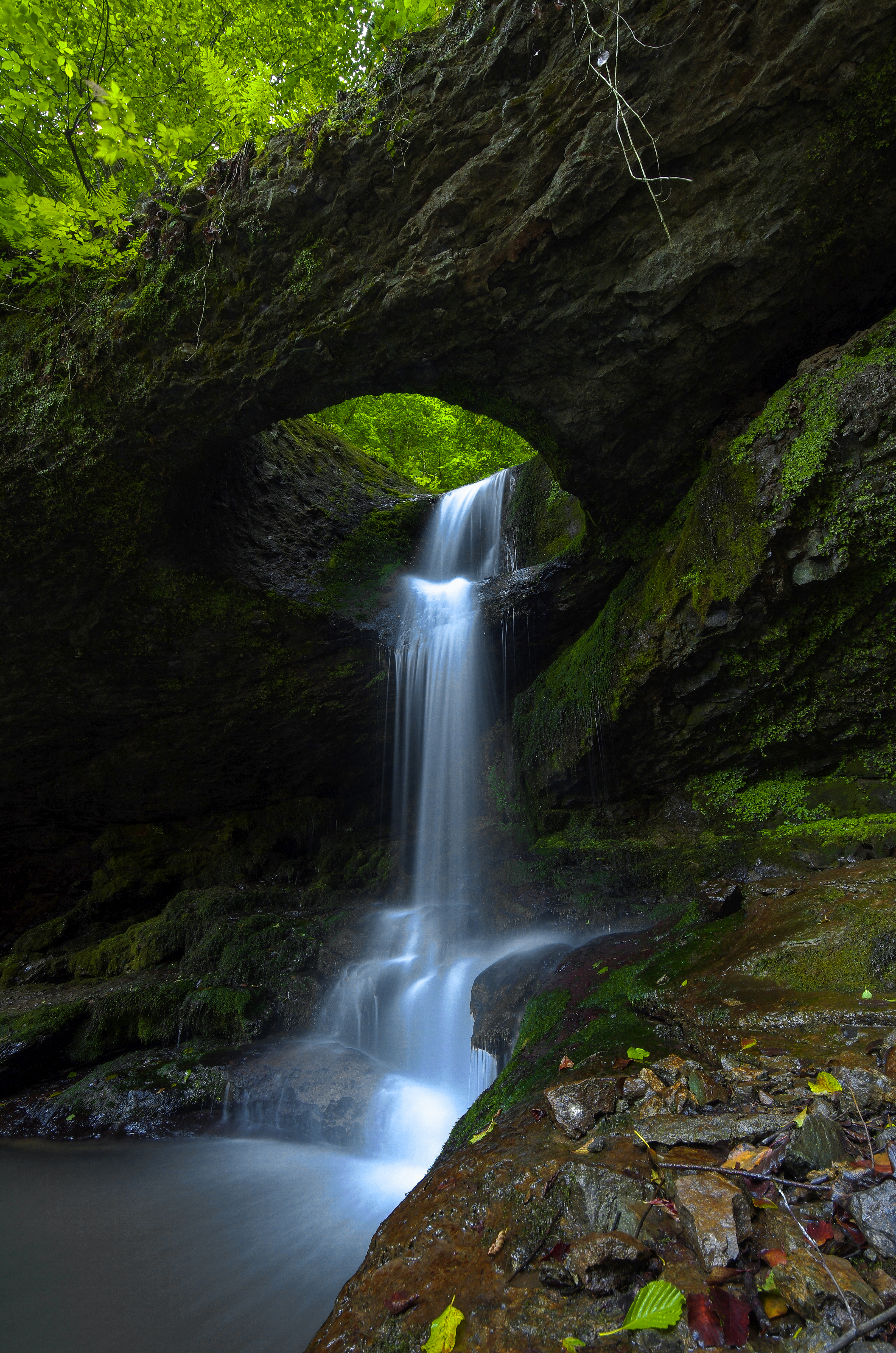 Deliklikaya Şelalesi Murgul Artvin